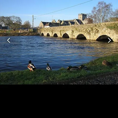 Vandrarhem Kickham Street Carrick-on-Suir